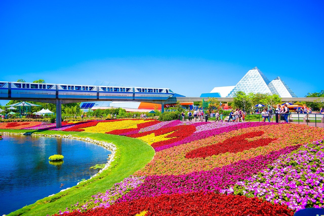 parks, flower background, orlando-2090602.jpg